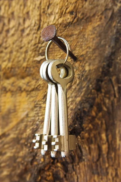 Забытые ключи на старом ногте — стоковое фото