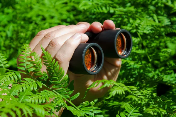 Binoculars in hand from the bushes — Stock Photo, Image