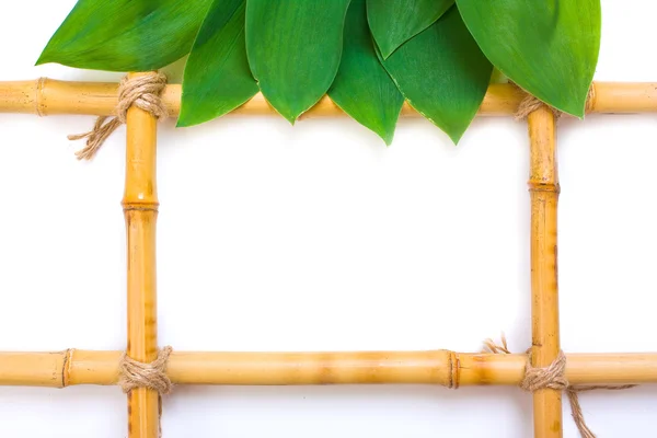 Рамка для фотографий из бамбука — стоковое фото