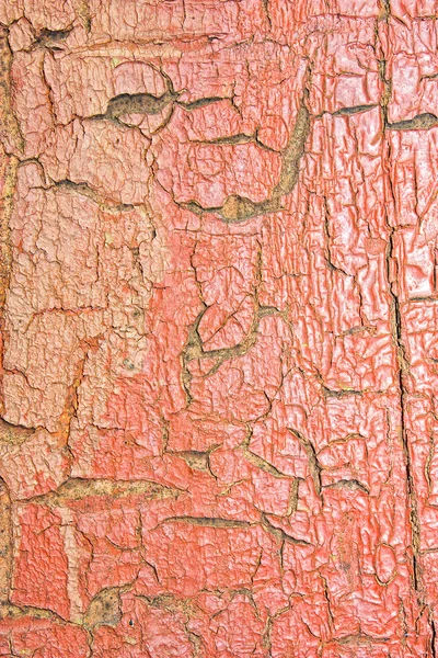 Textura Pintura Vieja Sobre Madera Piedra —  Fotos de Stock