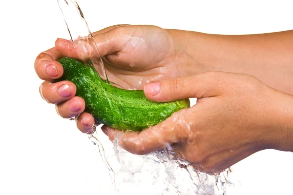 Wash the cucumber in the hands — Stock Photo, Image