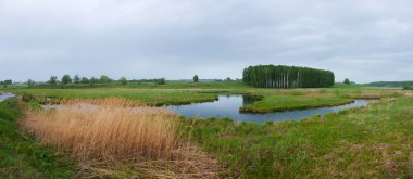 Panorama from the river clipart