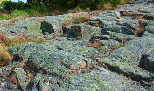 화강암 바위와 프리 — 스톡 사진