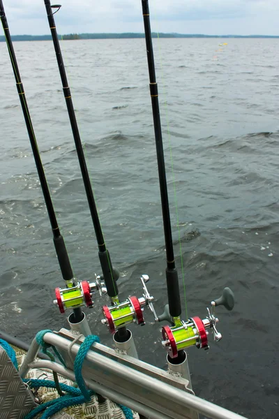 Pesca girando no lago — Fotografia de Stock