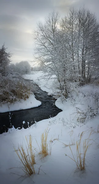 Paisaje cubierto de nieve con río y árboles — Foto de Stock