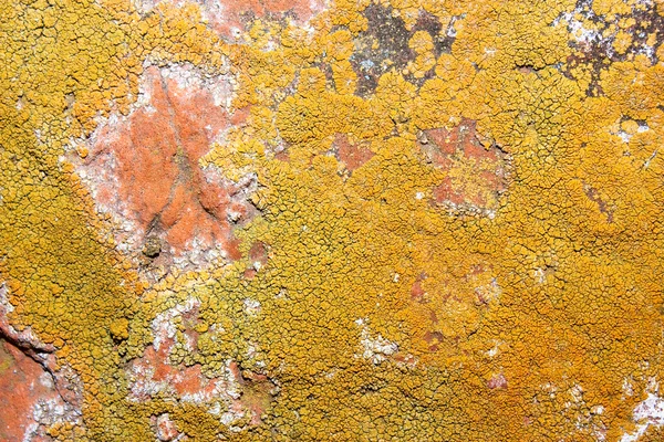Texture di vernice vecchia — Foto Stock