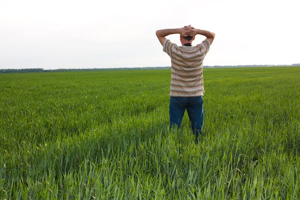 stock image The man is back in the middle of the field