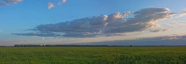 Een grote wolk bij zonsondergang — Stockfoto