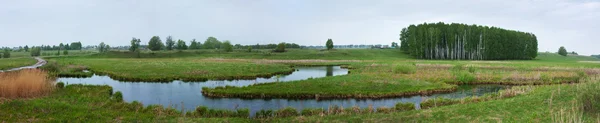 stock image Panorama from the river