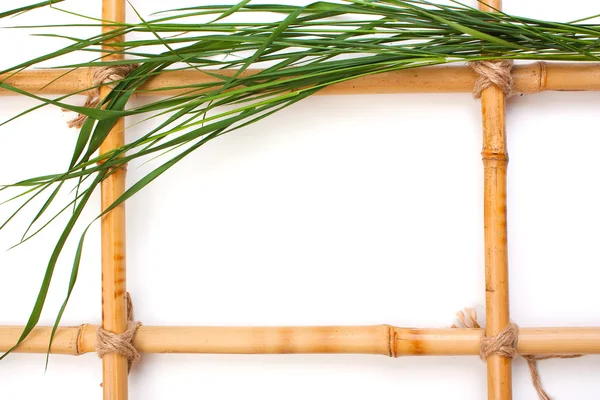 Cadru pentru imagini din bambus — Fotografie, imagine de stoc