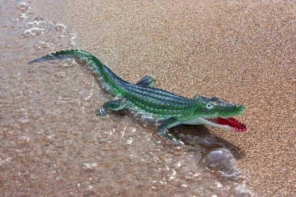 Toy crocodile — Stock Photo, Image