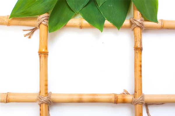 Рамка для фотографий из бамбука — стоковое фото