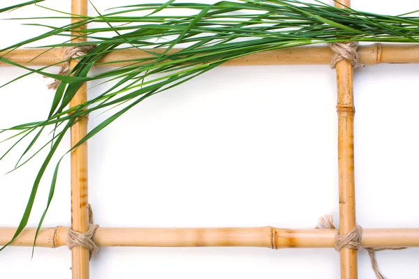 Cadru pentru imagini din bambus — Fotografie, imagine de stoc
