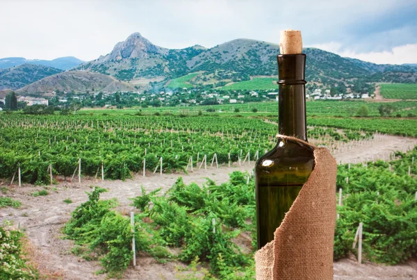 Бутылка вина в пейзаже с виноградниками — стоковое фото