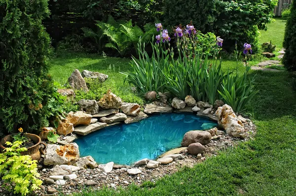 Pequena lagoa no jardim Fotografia De Stock