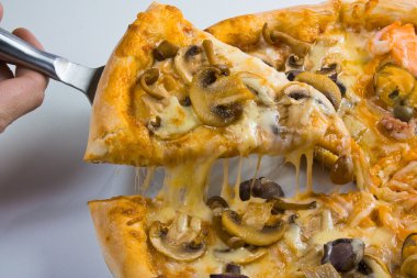 mantarlı pizza