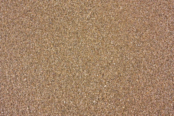 Texture of the wet sand — Stock Photo, Image