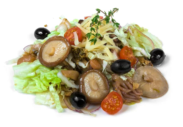 Salada de frutos do mar e cogumelos — Fotografia de Stock