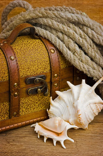 Cassapanca del tesoro dei pirati — Foto Stock