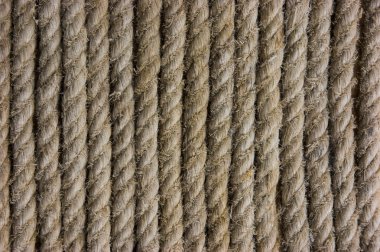 Texture of the ropes