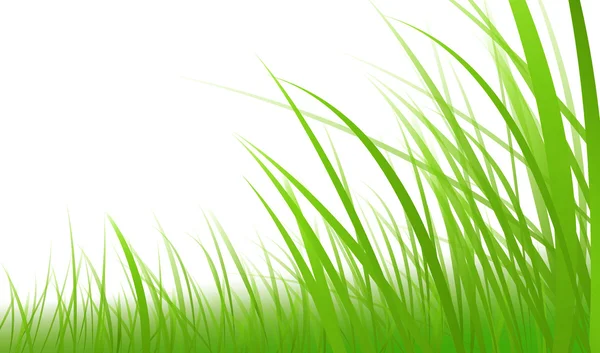 Green-grass-illustration — Stockfoto