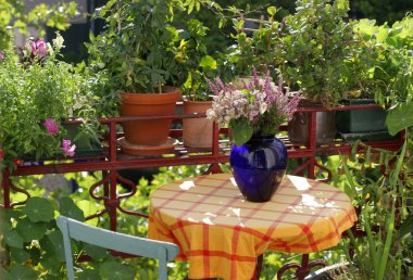 Balcony with flowers and plants clipart