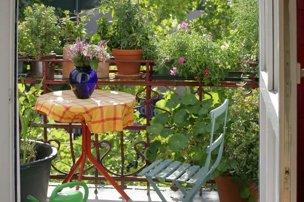 Balkon mit Blumen und Pflanzen — Stockfoto