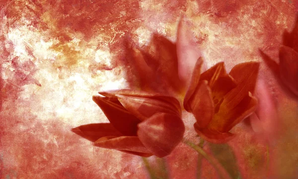 Okolní plátno tulipány — Stock fotografie