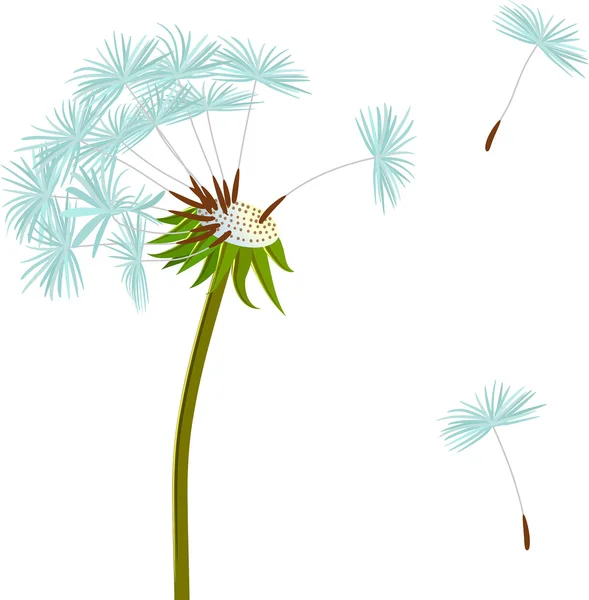 Dandelion on the wind — Stock Vector