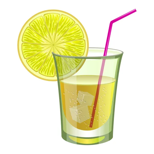 Orange drink with fruit — Stock Vector
