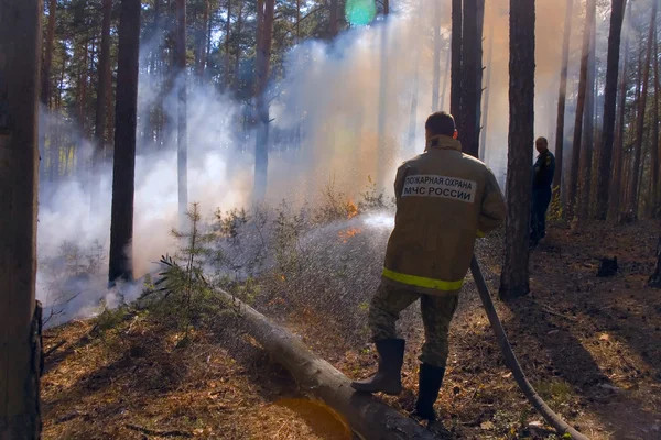 Fireman in forest fire in Russia — Stock Photo, Image