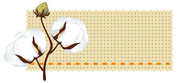 Rama de algodón con tela (Gossypium ). — Vector de stock