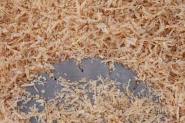 Wood shavings and table saw blade clipart
