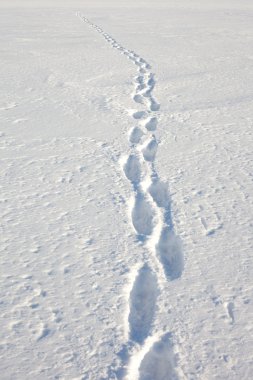 Human tracks in the snow clipart