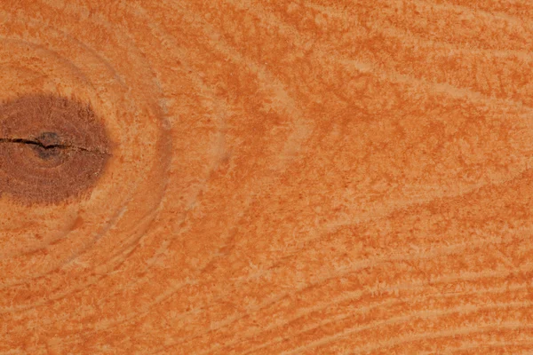 Текстура сосны — стоковое фото