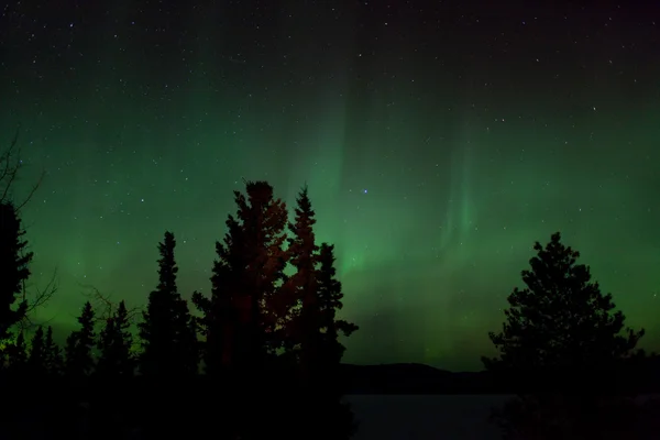 Aurora Borealis (norrsken) — Stockfoto