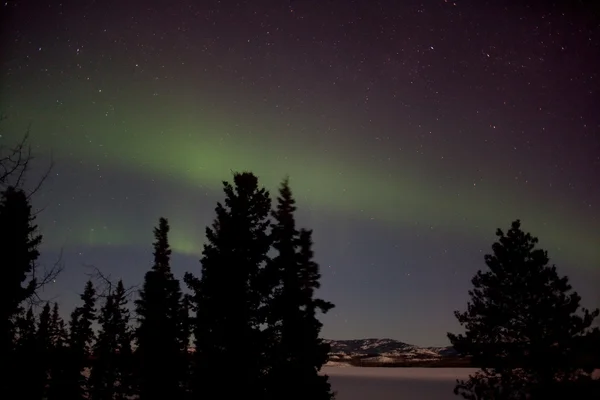 Aurora Borealis (Kuzey ışıkları) — Stok fotoğraf