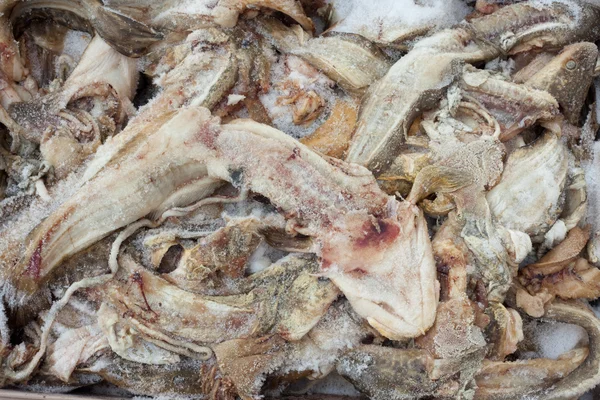 Ryby mrożone odpadów — Zdjęcie stockowe