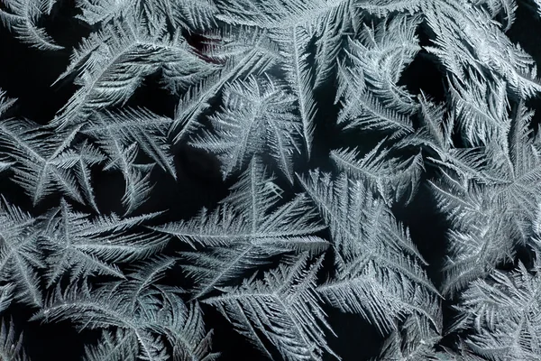 Real ice-flowers on frosted window — Stock Photo, Image