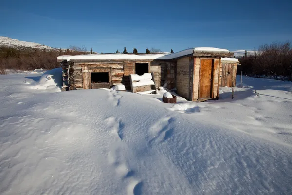 Cabana de madeira abandonada no inverno — Fotografia de Stock