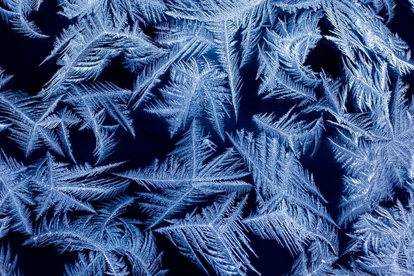 Ice-flowers on frosted glass — Stock Photo, Image