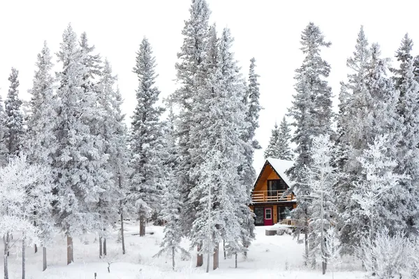 Christmas cottage in winter wonderland Stockafbeelding