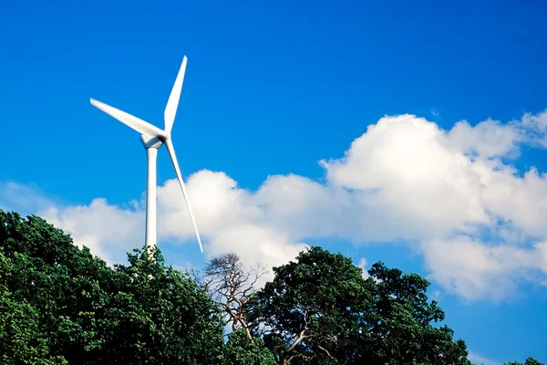 Ветряная турбина и верхушки деревьев — стоковое фото