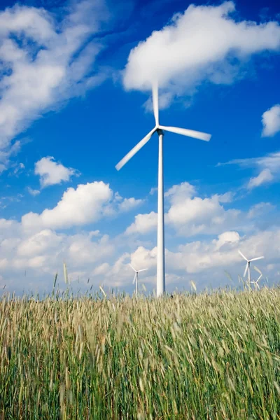 Windpark auf landwirtschaftlichen Flächen — Stockfoto