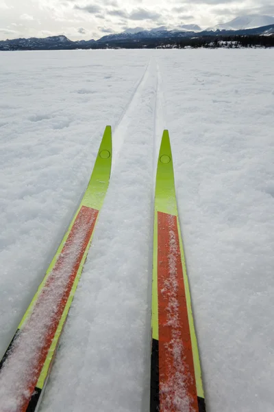 X-country ski vintersport — Stockfoto
