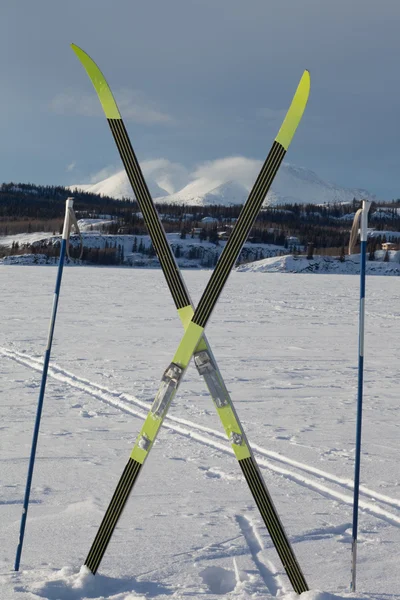 X-χώρα σκι χειμώνα αθλητισμού έννοια — Φωτογραφία Αρχείου