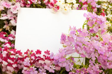 Flowers and Copyspace clipart