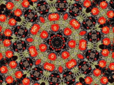 Flower kaleidoscope resembling a mandala clipart