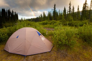 Wilderness Camping Concept clipart