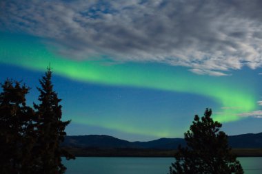 Aurora borealis (Northern lights) display clipart